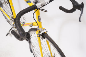 Gazelle Goldline | Newly Added