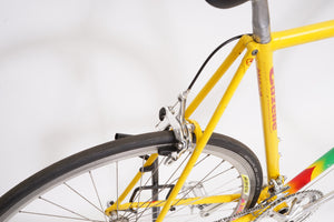 Gazelle Goldline | Newly Added