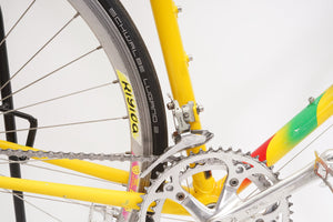 Gazelle Goldline | Newly Added