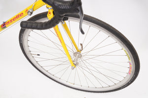 Gazelle Goldline | Newly Added