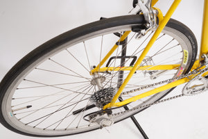 Gazelle Goldline | Newly Added