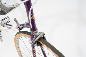 Giant Peloton Lite | Newly Added