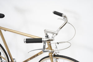 Motobecane (single-speed) | Newly Added