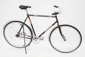 Wheeler Trekking (coaster single-speed) | Newly Added