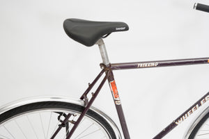 Wheeler Trekking (coaster single-speed) | Newly Added