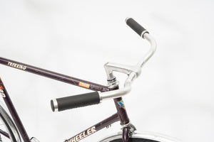 Wheeler Trekking (coaster single-speed) | Newly Added