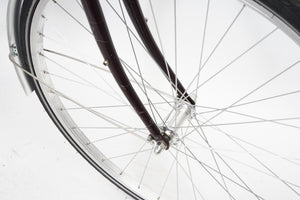 Wheeler Trekking (coaster single-speed) | Newly Added