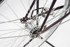 Wheeler Trekking (coaster single-speed) | Newly Added