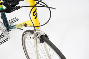 Giovanni | Newly Added