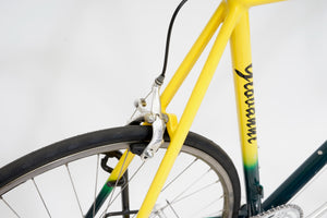 Giovanni | Newly Added