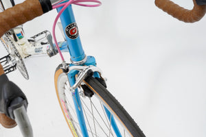 Giant Swift | Newly Added