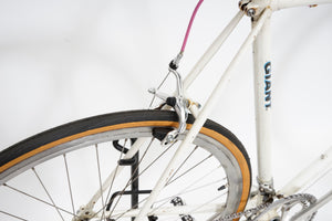 Giant Swift | Newly Added