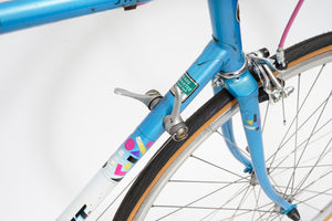 Giant Swift | Newly Added