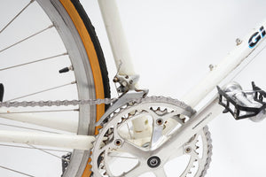 Giant Swift | Newly Added