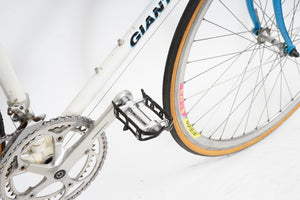 Giant Swift | Newly Added