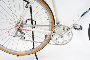 Giant Swift | Newly Added