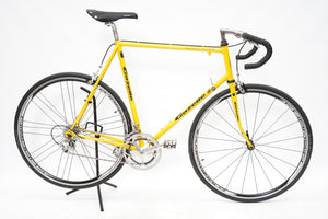 Gazelle Champion Mondial | Newly Added