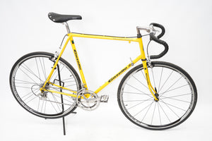 Gazelle Champion Mondial | Newly Added
