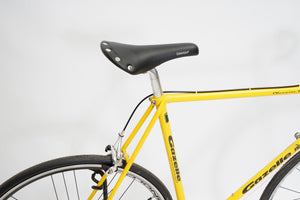 Gazelle Champion Mondial | Newly Added