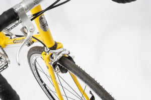Gazelle Champion Mondial | Newly Added