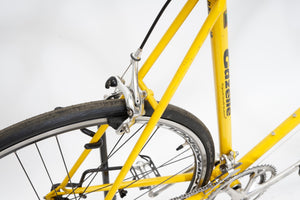 Gazelle Champion Mondial | Newly Added