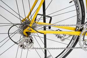 Gazelle Champion Mondial | Newly Added