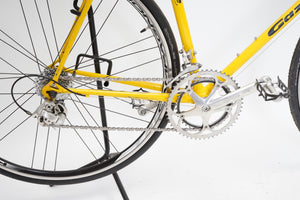 Gazelle Champion Mondial | Newly Added