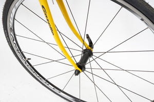 Gazelle Champion Mondial | Newly Added