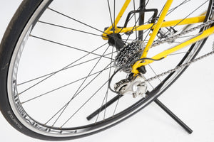Gazelle Champion Mondial | Newly Added