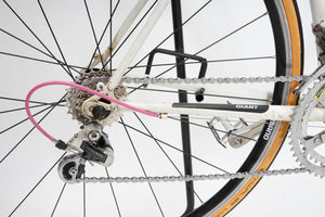 Giant Racer | Newly Added