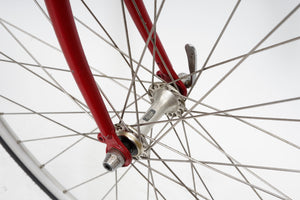 Giant Peloton | Newly Added