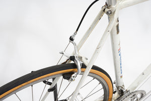Gazelle Champion Mondial | Newly Added