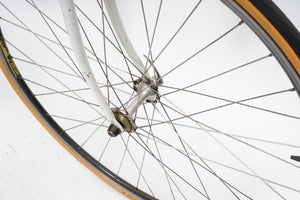 Gazelle Champion Mondial | Newly Added
