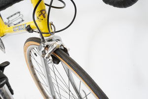 Battaglin | Newly Added