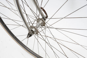 Vitus 797 Catieau | Newly Added
