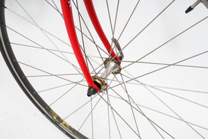 Giant Peloton Superlite | Newly Added
