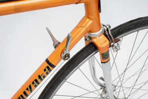 Koga Miyata | Newly Added