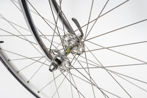 Koga Miyata | Newly Added