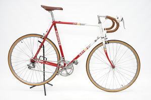 Batavus Course | Newly Added