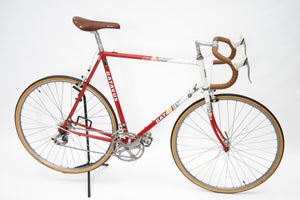 Batavus Course | Newly Added