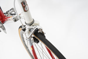 Batavus Course | Newly Added