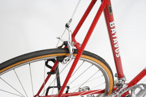 Batavus Course | Newly Added