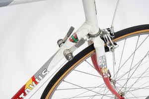 Batavus Course | Newly Added