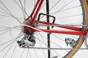 Batavus Course | Newly Added
