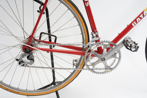 Batavus Course | Newly Added