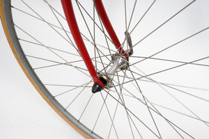 Batavus Course | Newly Added