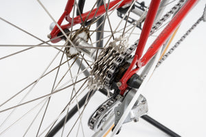 Batavus Course | Newly Added