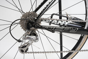 Giant Defy | Newly Added