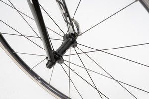 Giant Defy | Newly Added