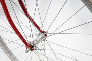 Flandria (single-speed) | Newly Added